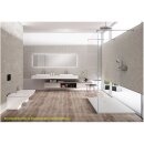Schröder Rechteckduschwanne Slatestone H E 90x75 cm